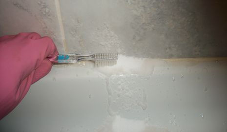 Cómo quitar el moho de la ducha - 6 pasos