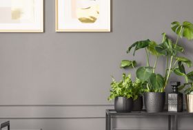 Plantas de interior colocadas en una mesa