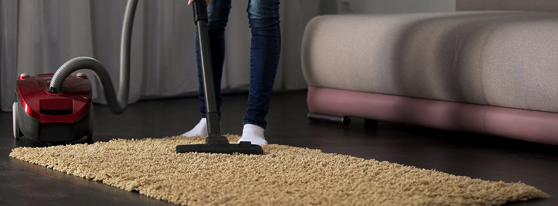 Limpiador de alfombras del sistema de limpieza.