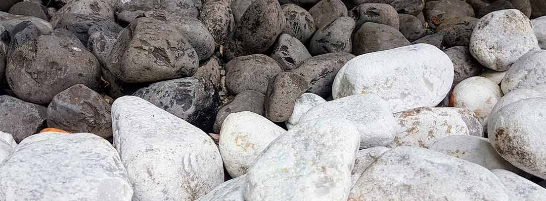  Piedras blancas para plantas de jardín, 18 libras, rocas blancas,  grava, piedras decorativas, relleno de jarrón de paisajismo, 1/2 pulgada :  Hogar y Cocina