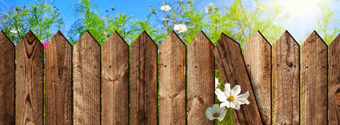 Sistemas de vallado para jardines, ¿cuál elegir? -canalHOGAR