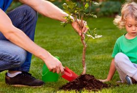 Hombre plantando un árbol junto a una niña