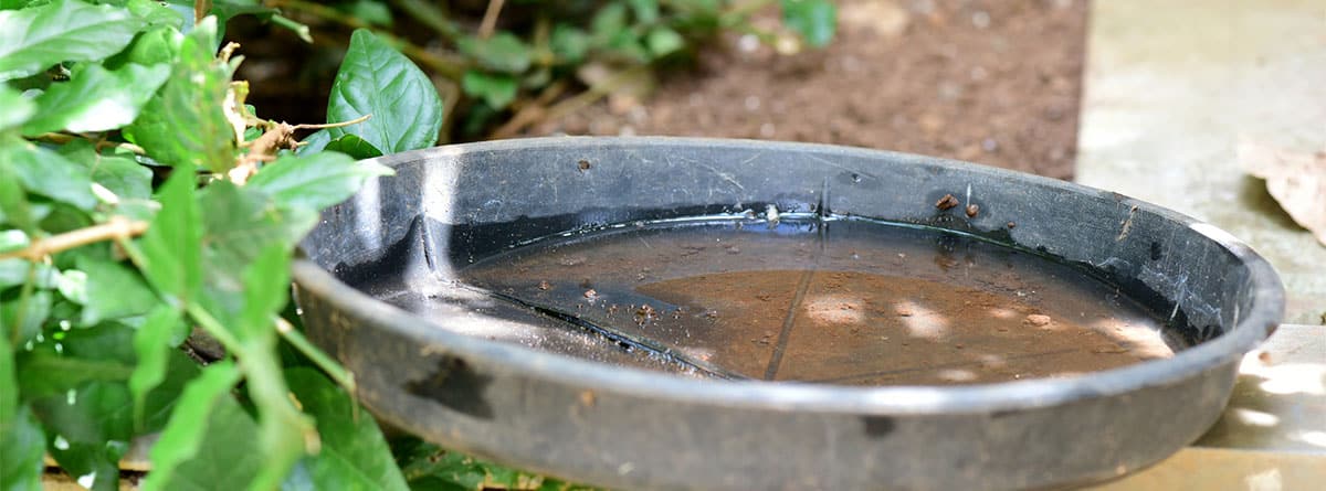 cubo de agua retenida