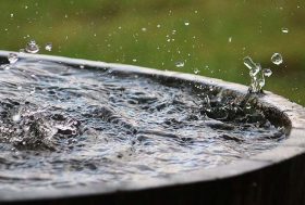 Barril de lluvia en el jardín lleno