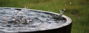 Barril de lluvia en el jardín lleno