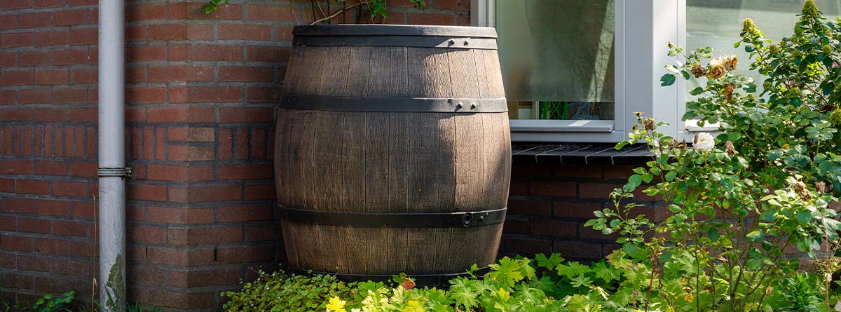 Barril de lluvia de madera