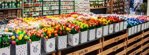 Mercado de las flores en Ámsterdam