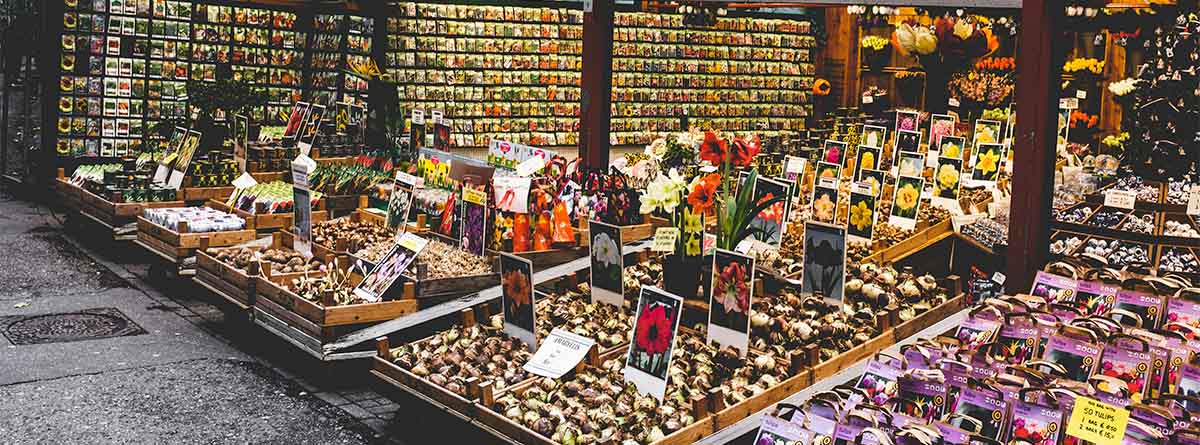 Mercado de las flores en Ámsterdam