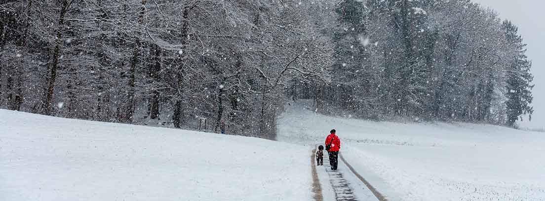 Hombre paseando con su perro por la nieve